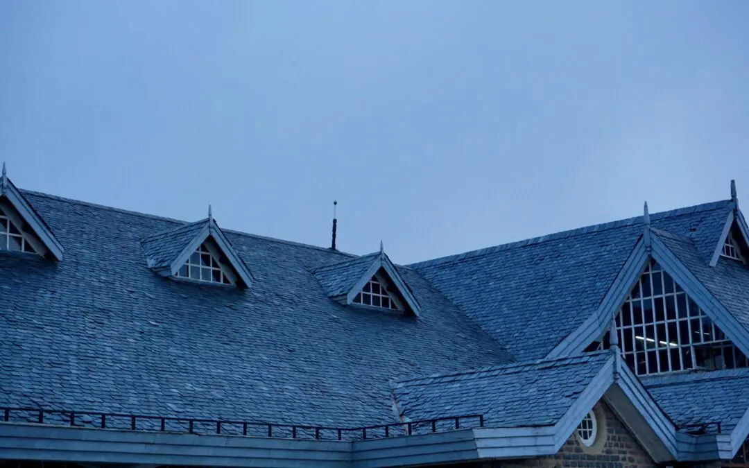 Are You in Need of Professional Roof Inspection? Here Are the Signs