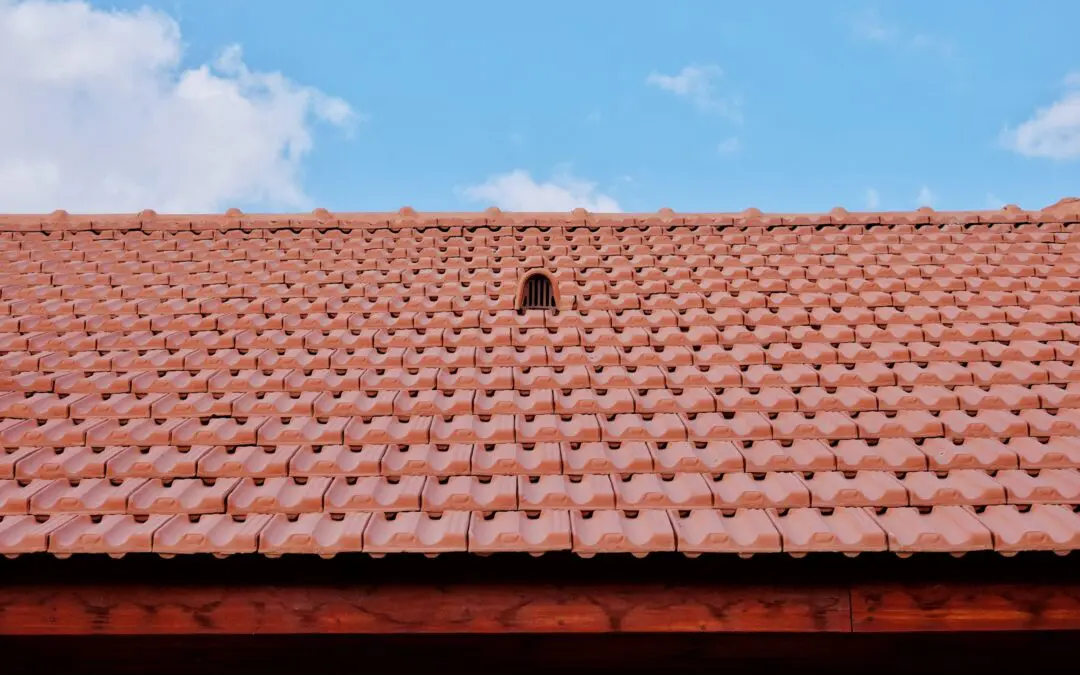 Warning Signs: Is Your Shingle Roof Trying to Tell You Something?