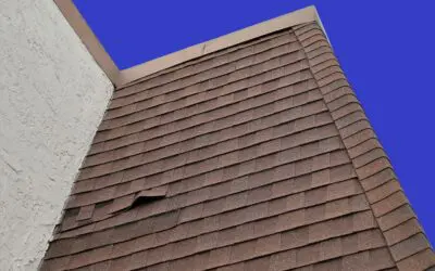 Common Shingle Roofing Problems: Solutions and Tips for a Durable Roof