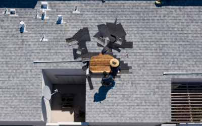 How Professional Roof Inspection Services Help You Save Money Long-Term