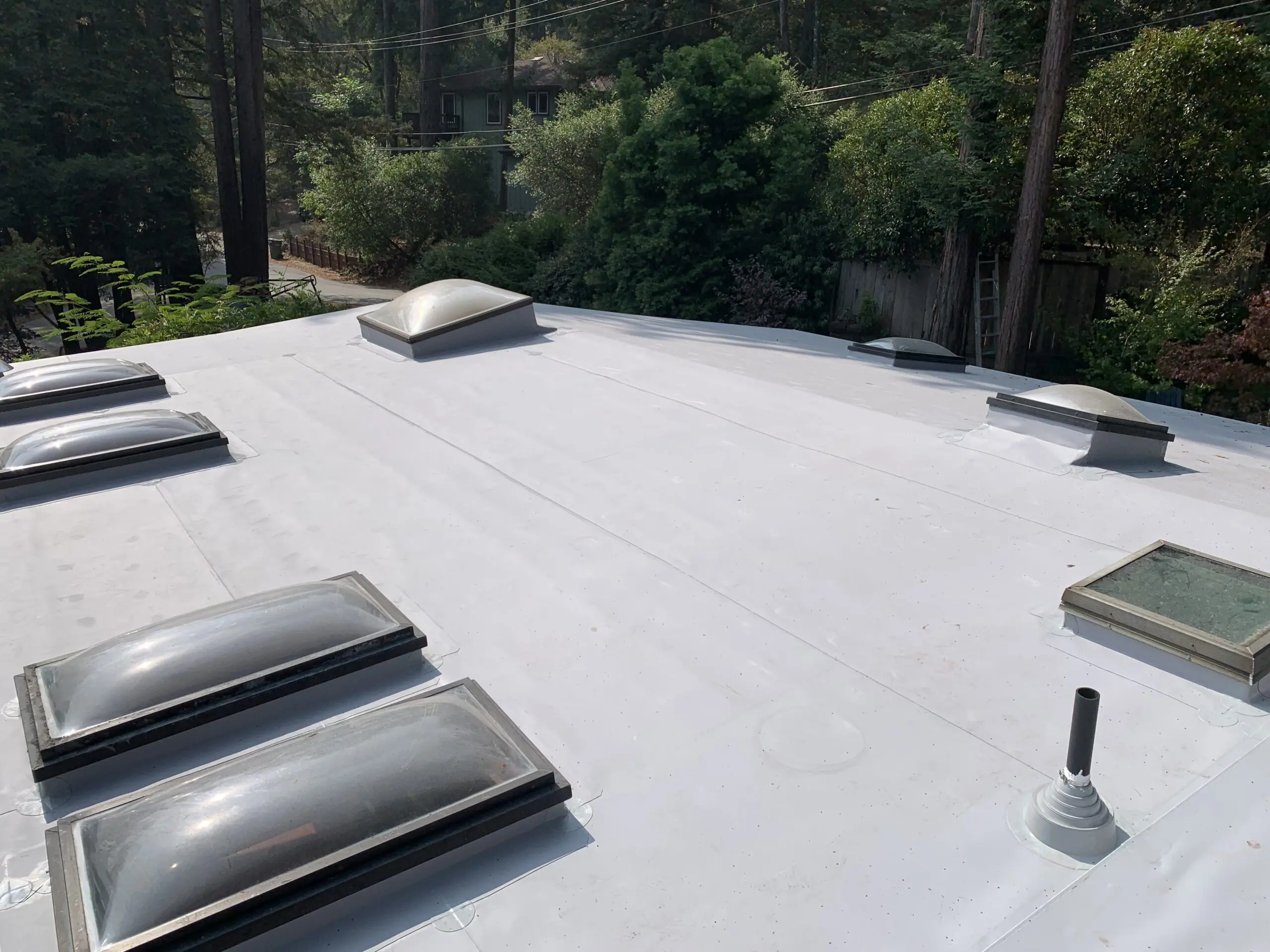 roof maintenance services in santa cruz ca