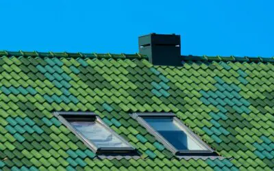 The Ultimate Guide to Choosing the Right Roofing Materials for Santa Cruz Homes