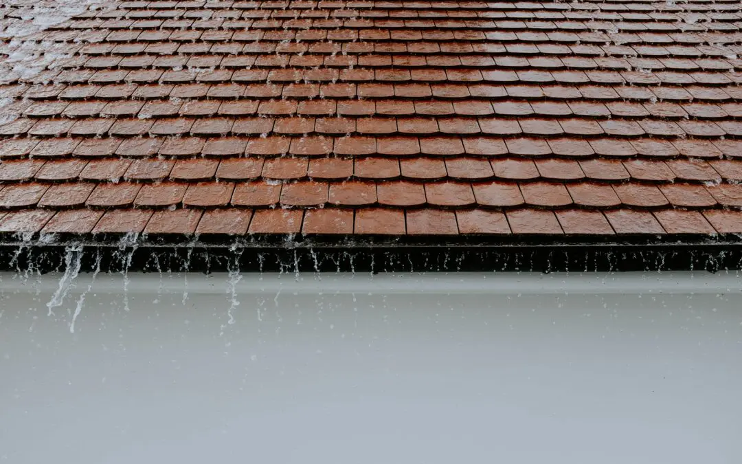 Protecting Your Home: Seasonal Roof Maintenance Tips for Santa Cruz Residents