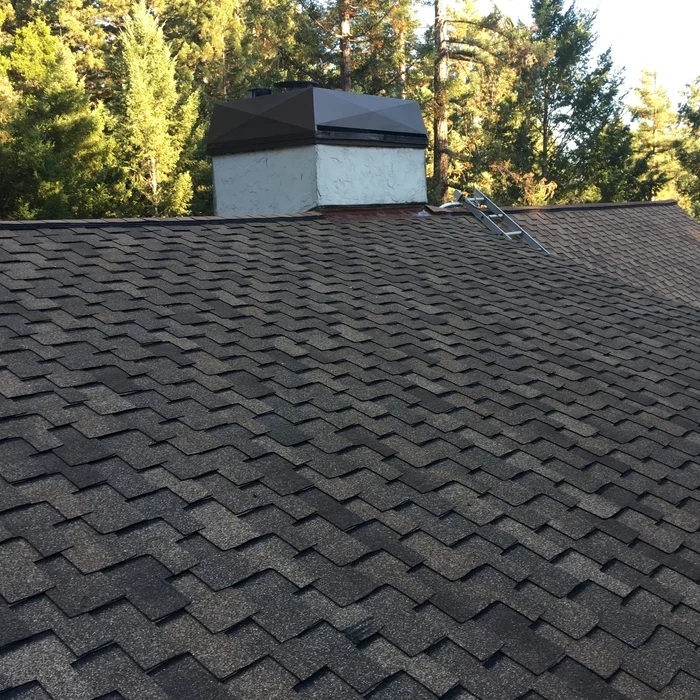 Dark brown shingle roof surrounded by tall trees in the Santa Cruz Mountains fire hazard zone